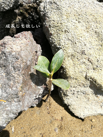 d0042827_18052638.jpg