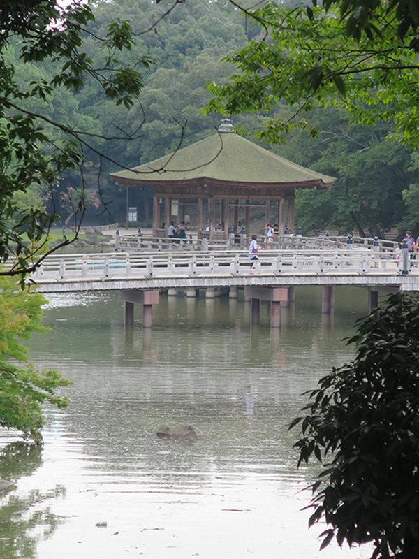d0352628_13493175.jpg