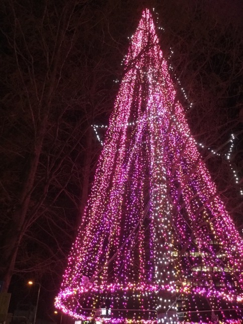 c0103830_16120571.jpeg