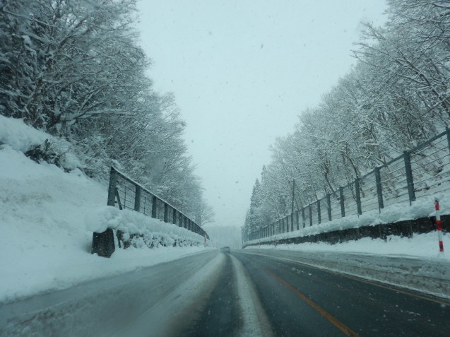 f0118332_23395053.jpg