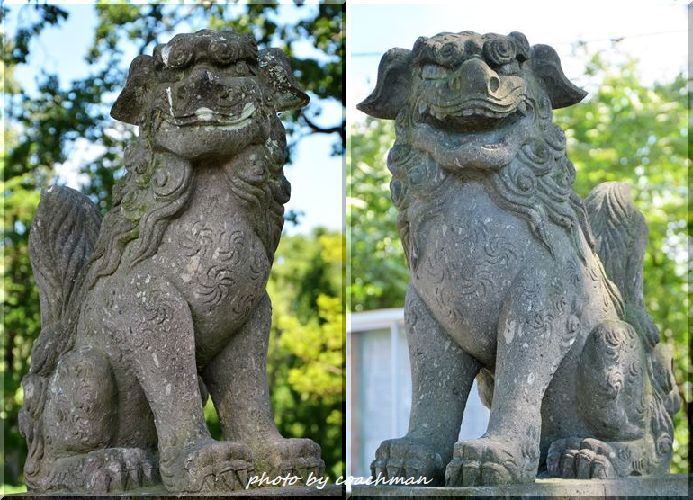 安平八幡神社 狛犬（ 安平町）_a0315942_22140120.jpg