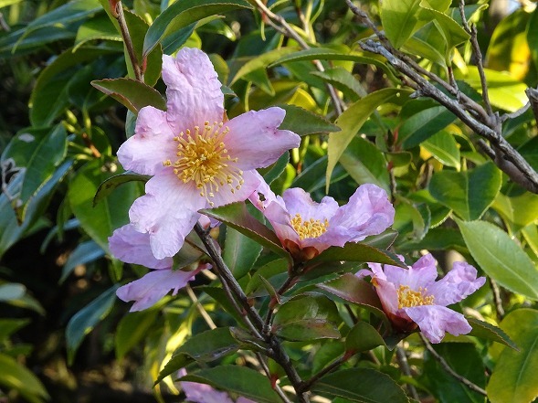 b0299042_16011175.jpg