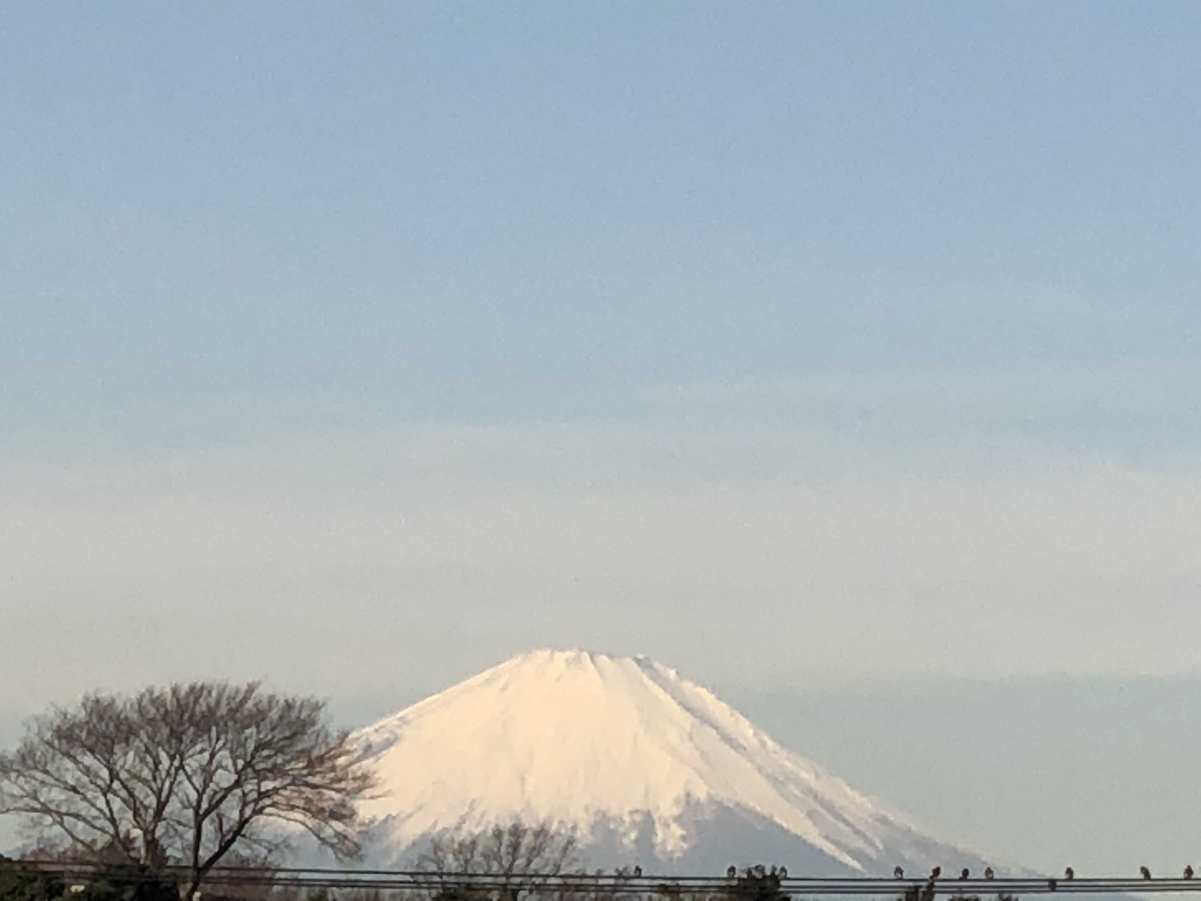 最低気温マイナス1.4℃ 日本列島大寒波です　鎌倉は雪でないにでまだましです　_c0222448_17241168.jpg