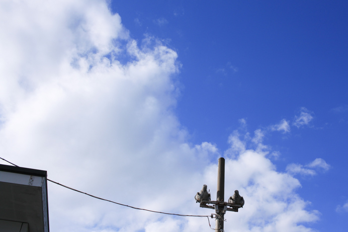 balance_a0271251_01462325.jpg
