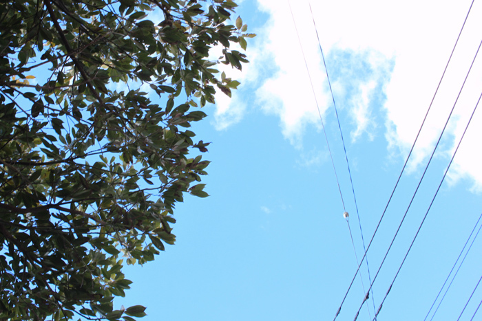 balance_a0271251_01484091.jpg