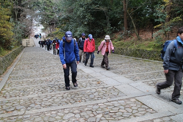 新春の神社巡りウオーク_b0044663_11330728.jpg