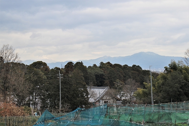 b0044663_11394545.jpg