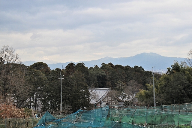 新春の神社巡りウオーク_b0044663_11394545.jpg