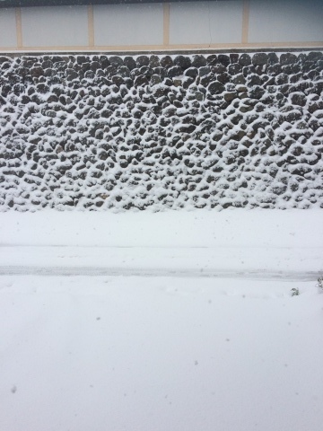 d0018868_10434281.jpeg