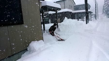 1/12  やっと我が高田に春否本格的冬到来_b0161371_14362659.jpg