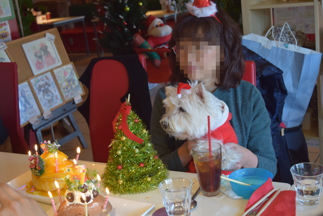 b0242873_18174493.png