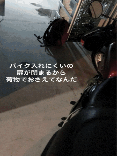 e0196473_10181939.gif