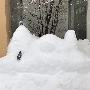 2018☆1.12 新津店の雪だるまとHIRAGA_e0148776_14132642.jpg