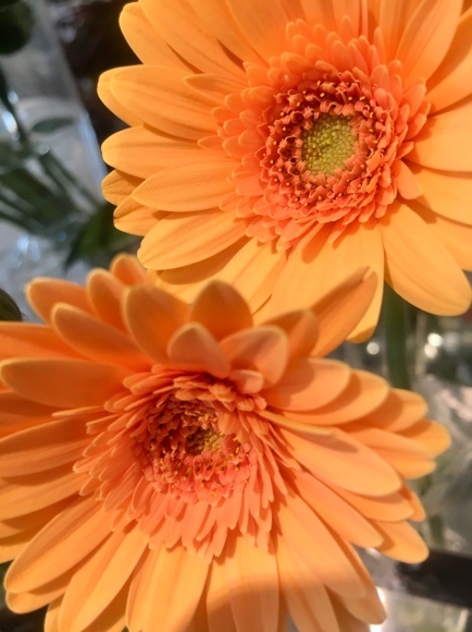a0287777_16550015.jpg