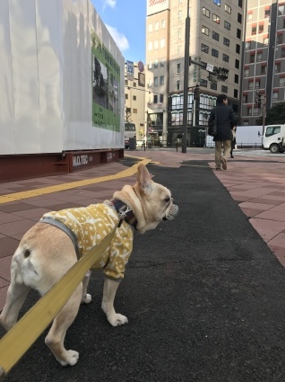 d0048577_10510510.jpeg