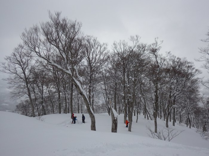 村山葉山パウダーラン ～ ２０１８年１月７日_f0170180_04311703.jpg