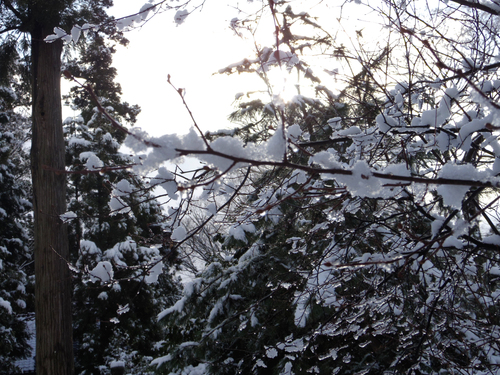 日御子界隈は雪のアルバム_c0051781_11105041.jpg