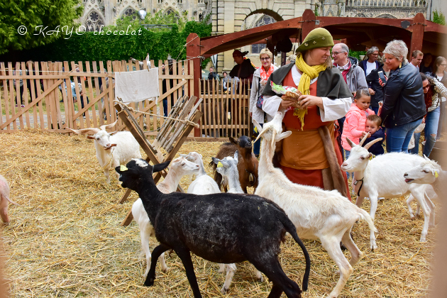 〈12日目-1〉　足を延ばして、バイユーの中世祭りへ！（7/1-その1）【2017 フランス旅行記】_a0373683_18151458.jpg