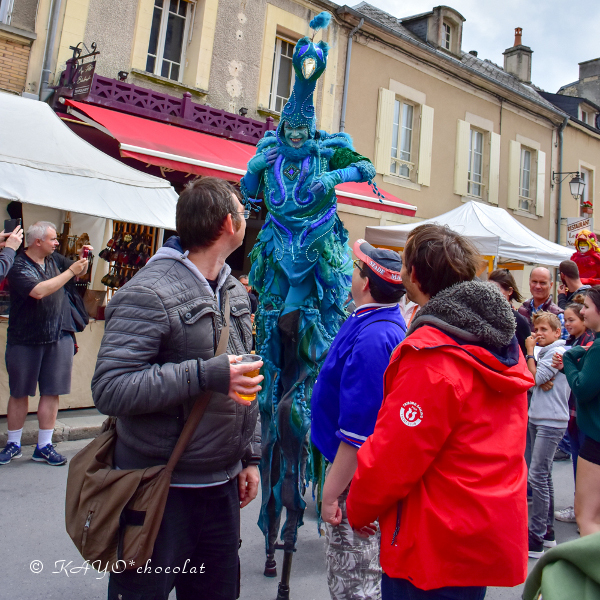 〈12日目-1〉　足を延ばして、バイユーの中世祭りへ！（7/1-その1）【2017 フランス旅行記】_a0373683_18170373.jpg