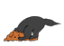 b0364186_19073732.gif