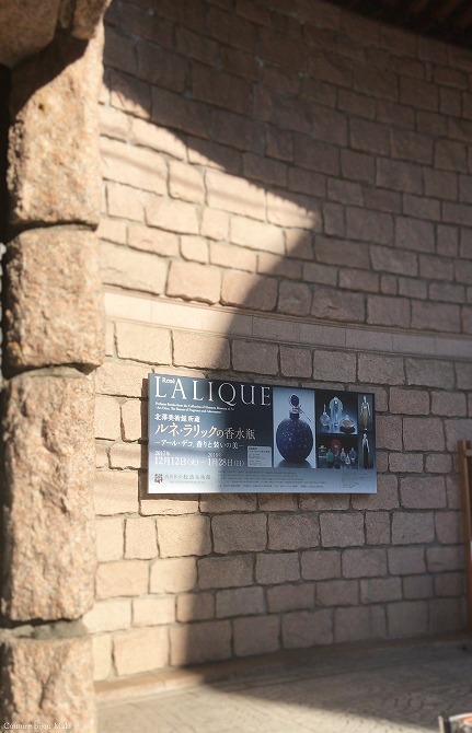 e0043686_16371631.jpg