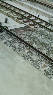 a0155297_871784.jpg