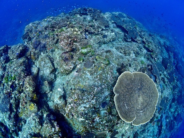 e0115199_15220347.jpg