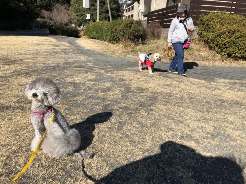 寒さに負けない☆水曜日幼稚園♪_a0338800_20183011.jpg