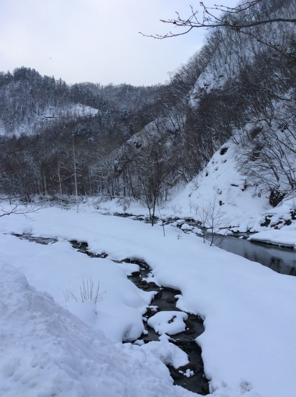 b0220002_22103845.jpeg