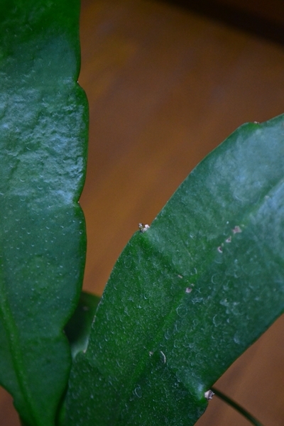 a0240403_18111391.jpg