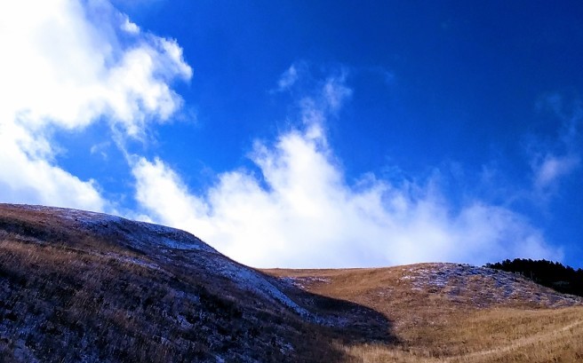 今日の霧ヶ峰･ﾟ☆､･：`☆･･ﾟ･ﾟ☆。。_c0067206_14244296.jpg