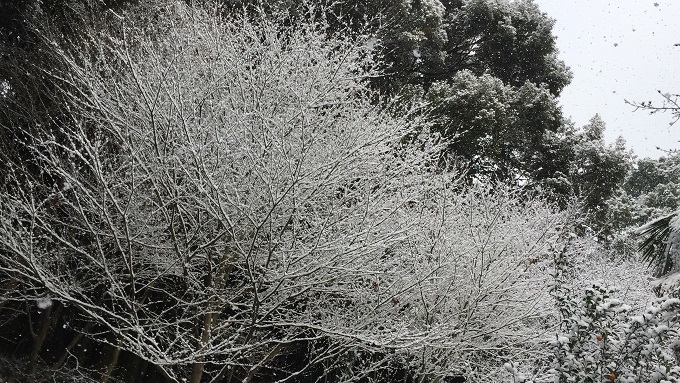 f0364707_23231610.jpg