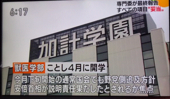 f0231709_08152007.gif