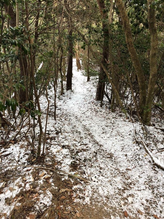 雪道の広島南アルプスを歩く。その1(2018/01/12)_c0346710_19073075.jpg