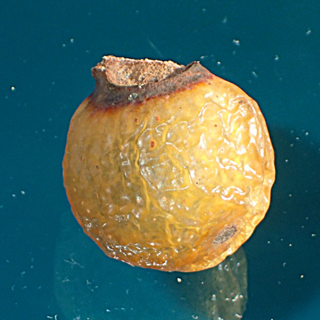 c0190915_19252549.jpg