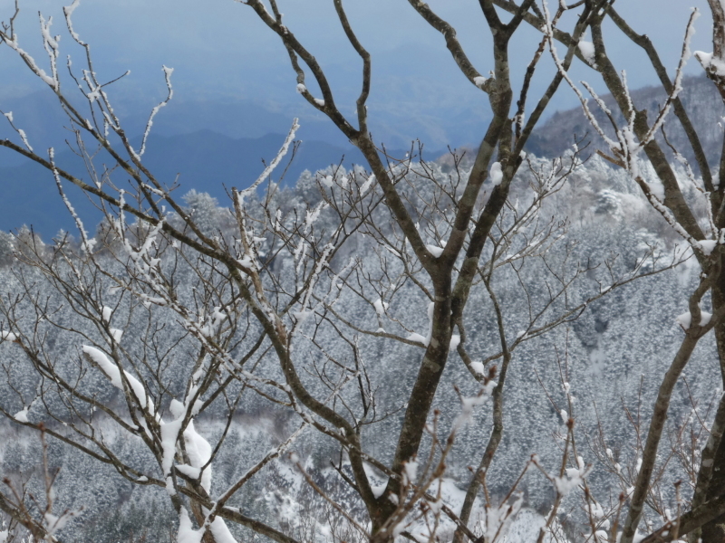 樹氷が美しい　高賀山 (1,224.2M)   下山 編_d0170615_20531413.jpg