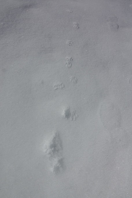f0360815_15212081.jpg