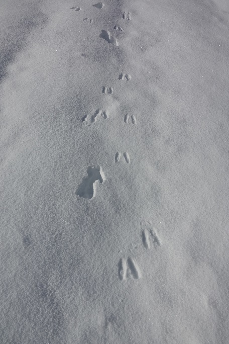 f0360815_15212099.jpg