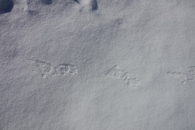 f0360815_15212173.jpg