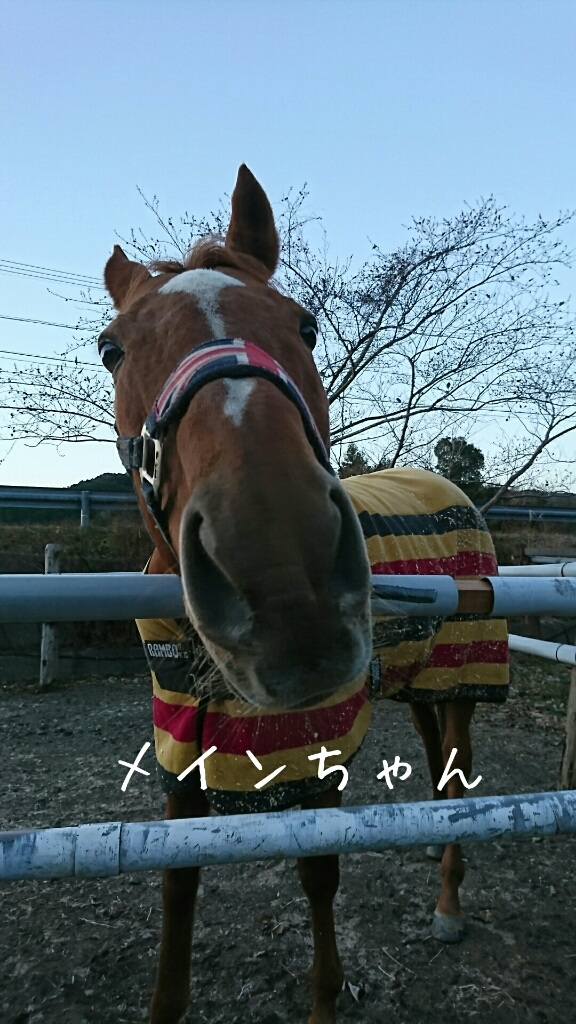 b0187620_21000027.jpg