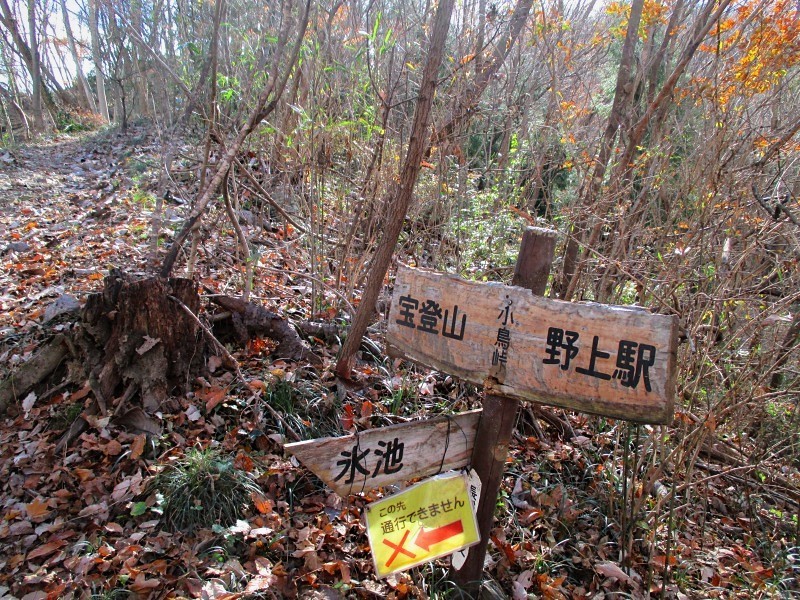 長瀞町　長瀞アルプスから風花舞う宝登山　　　　　Hodosan in Nagatoro, Saitama_f0308721_02205259.jpg