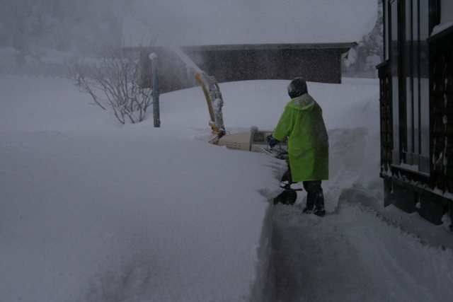 今年の初雪_d0049138_14541212.jpg