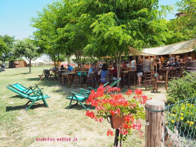 TORCELLO (トルチェッロ島)@イタリア_f0295238_13590330.jpg