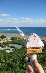 c0225143_11463349.jpg