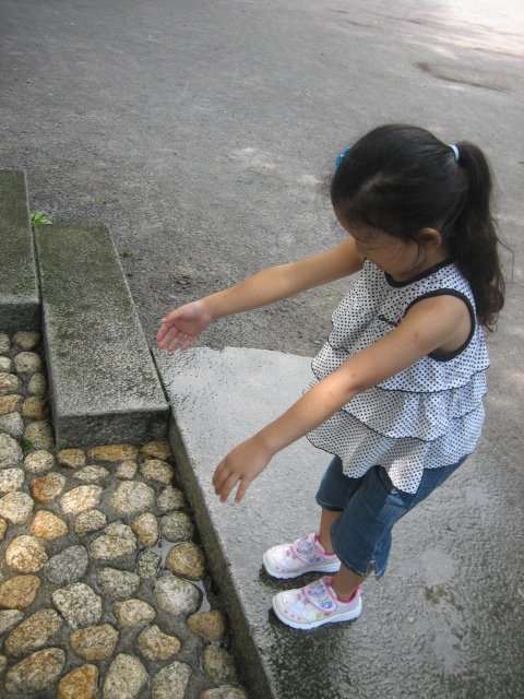 f0394357_08021407.jpg