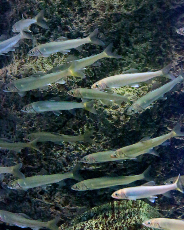 c0305565_17511469.jpg