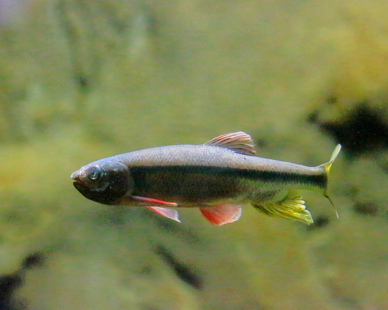 c0305565_17521863.jpg