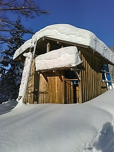 1月13日「今朝は氷点下19℃まで下がりました❗」_c0160368_16104185.jpg