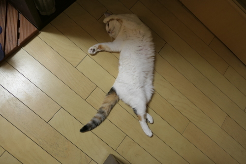 d0193569_09255064.jpg