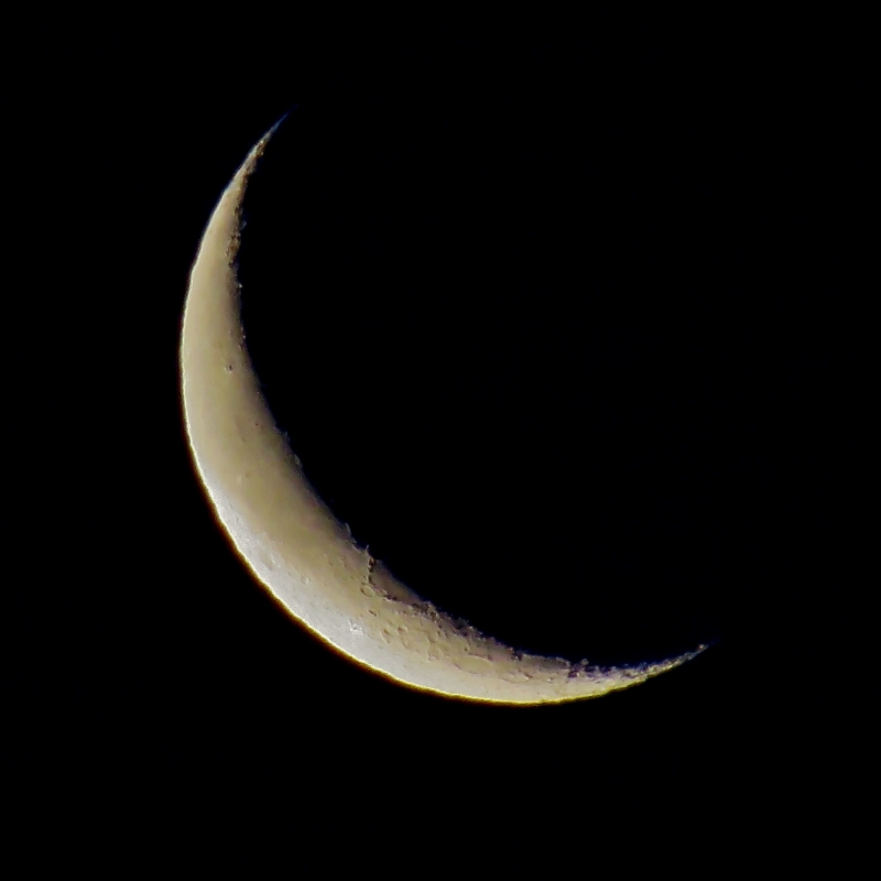c0183777_740849.jpg